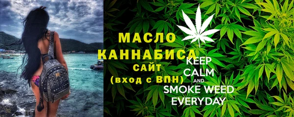 дмт Каменка