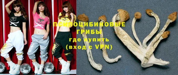 прущий лед Карталы